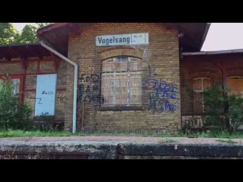 Streetart | Bunkeranlage Militärgelände Vogelsang bei Berlin