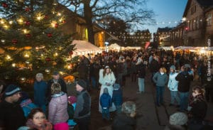Bild Wochenend- Weihnachtsmarkt in den Späth'schen Baumschulen