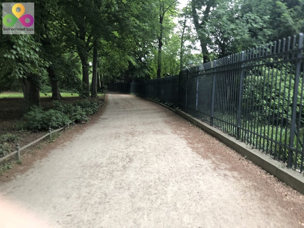 72-Bild-Tiergarten-Berlin-Rundgang