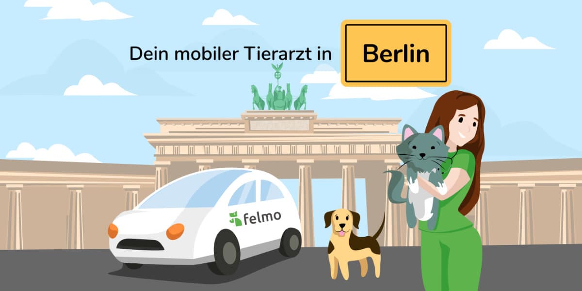 Bild mobiler Tierarzt Berlin