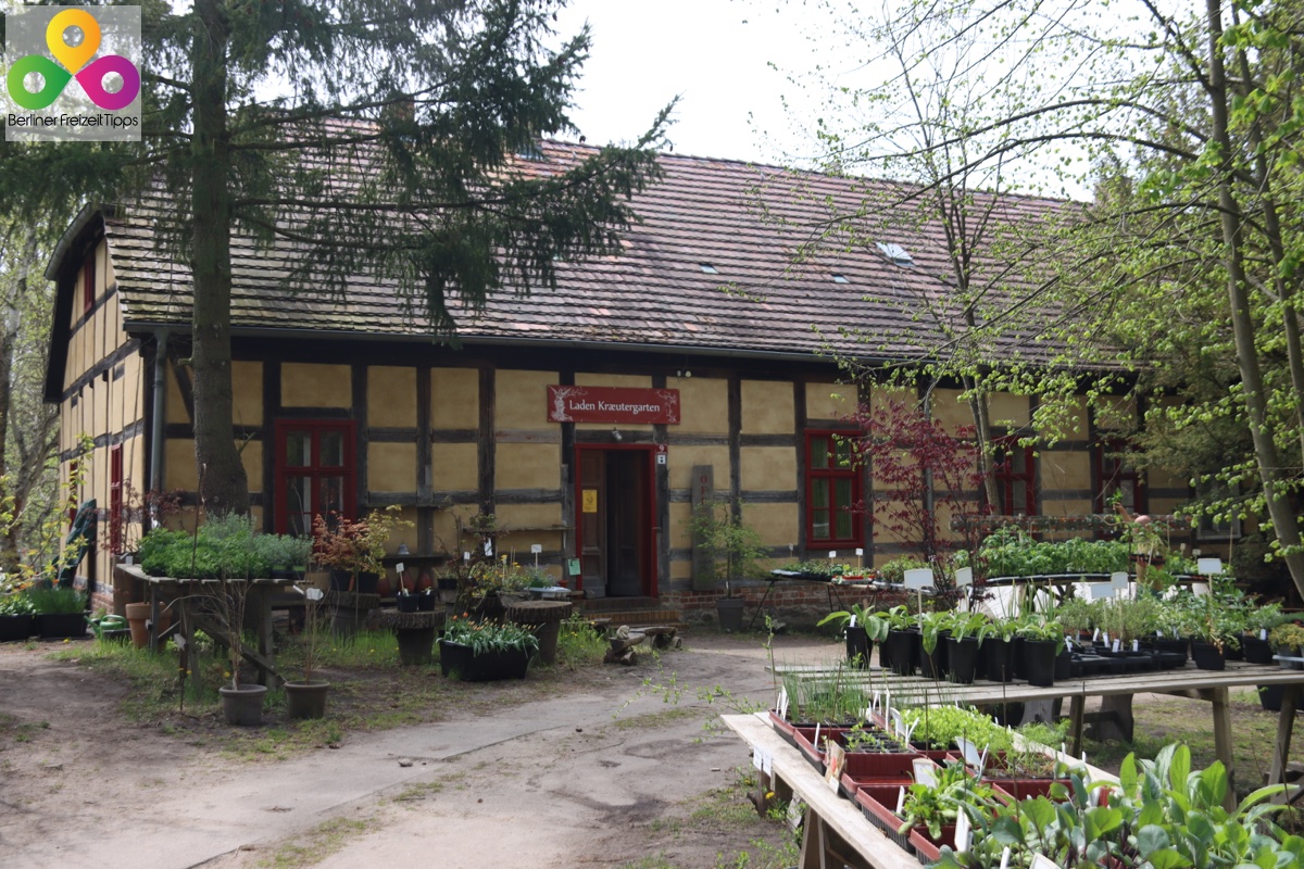 Bild-Museumsdorf-Glashuette-Baruth-Laden-Kraeutergarten