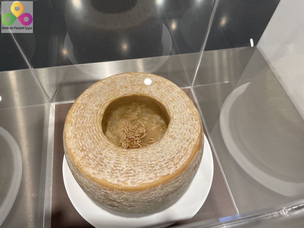 Bild Käse mit Maden Disgusting Food Museum