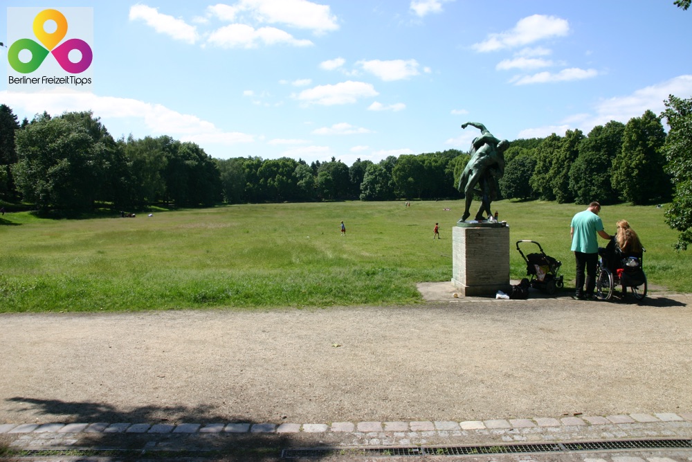 Bild Wiese Volkspark Rehberge