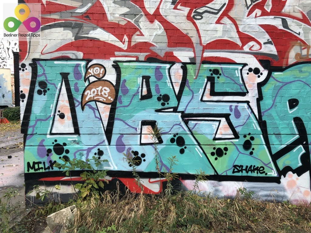 25-Bild-Graffiti-Teufelsberg-2018