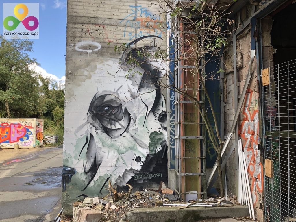 48-Bild-Graffiti-Teufelsberg-2018