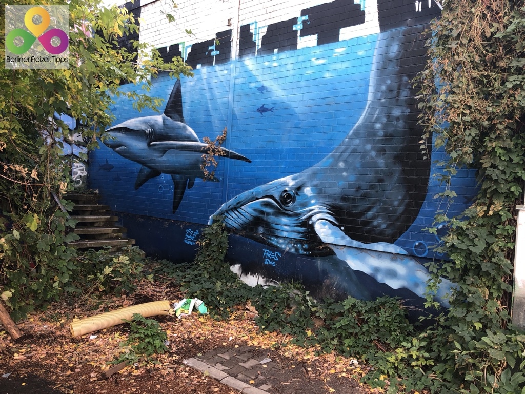 90-Bild-Graffiti-Teufelsberg-2018